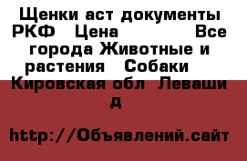 Щенки аст документы РКФ › Цена ­ 15 000 - Все города Животные и растения » Собаки   . Кировская обл.,Леваши д.